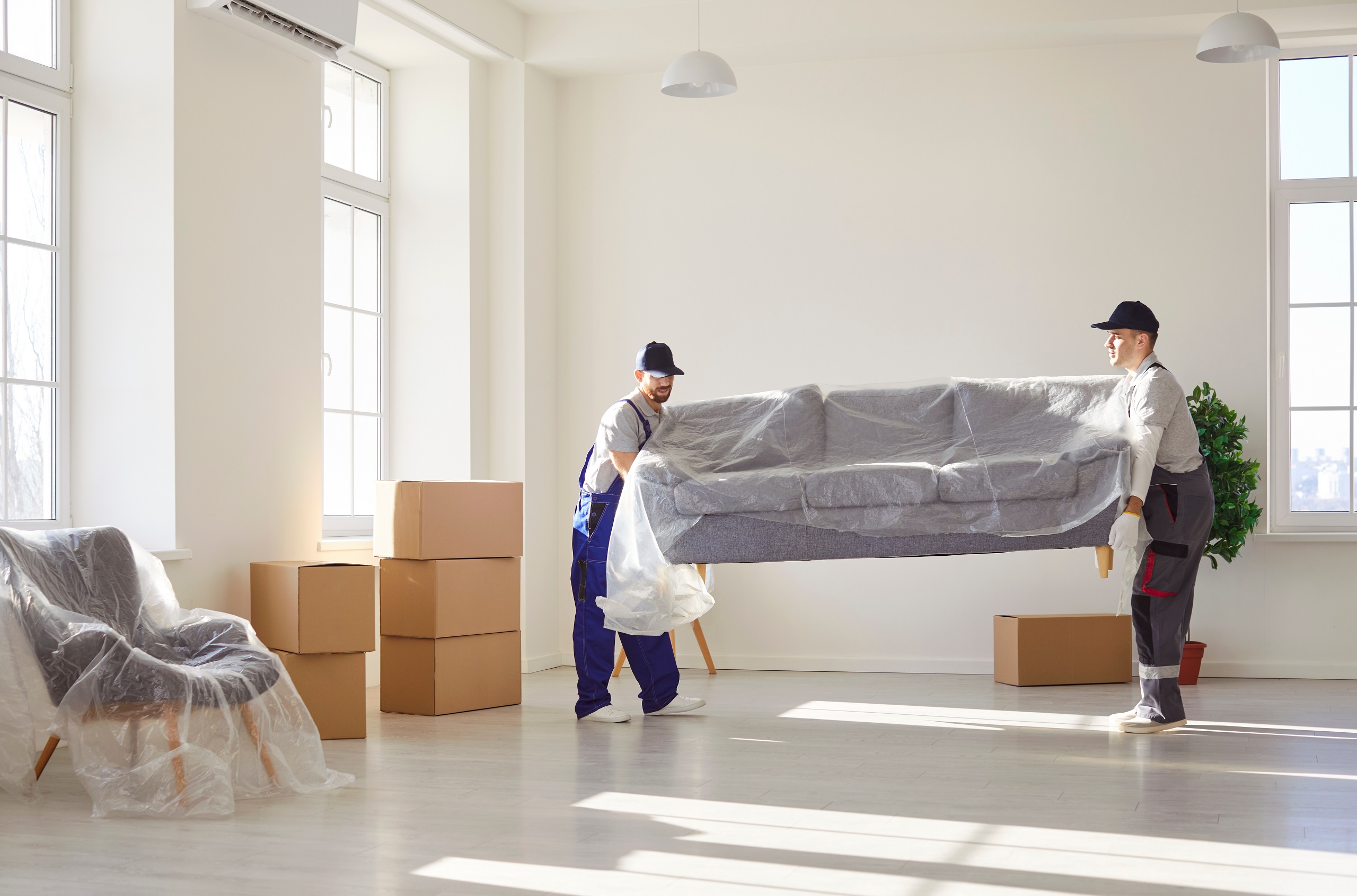 Furniture Movers
